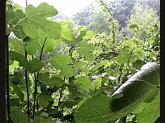 George Richards - A Month of Movies - 20th July 2007