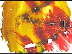 George Richards - A Month of Movies - 28th July 2007