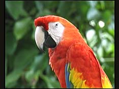 George Richards - A Month of Movies - 30th July 2007