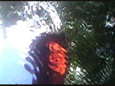 George Richards - A Month of Movies - 9th July 2007