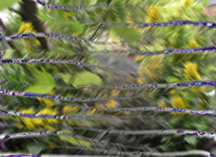 Strata by George Richards